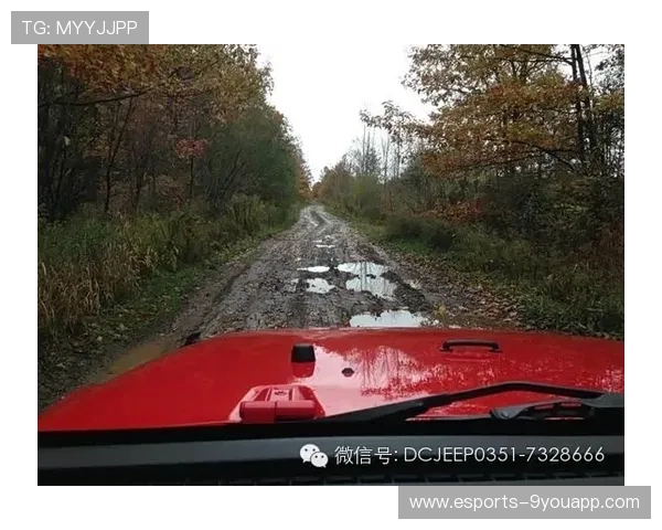 “泥泞狂潮：雨后泥地的极速追逐”，泥泞狂摆鱼